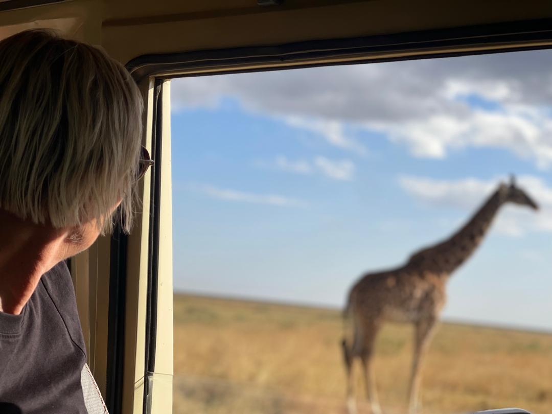 join to  tanzania safari to explore mikumi safari tour