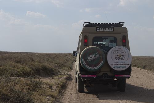 Mikumi national park from zanzibar safari tour