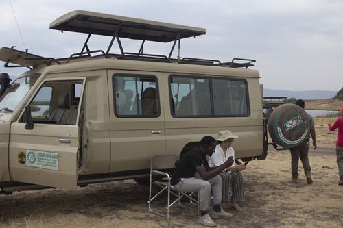 Game drive Safari tour to mikumi