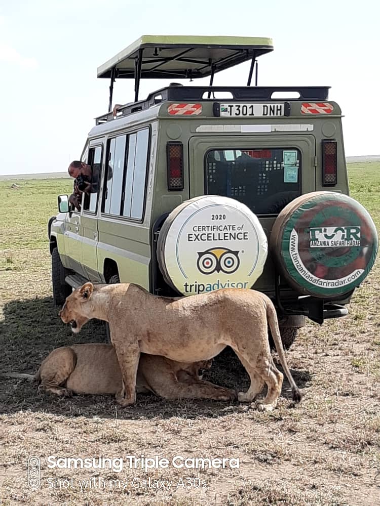 Ngorongoro crater safari tour